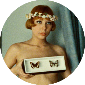 Daisies (4k Restoration)